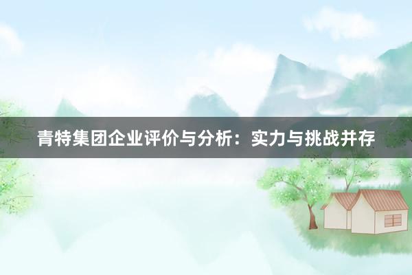 青特集团企业评价与分析：实力与挑战并存